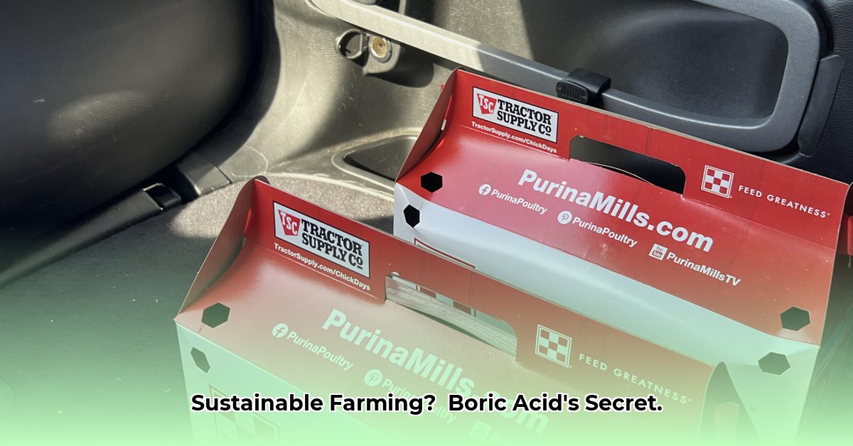 boric-acid-tractor-supply